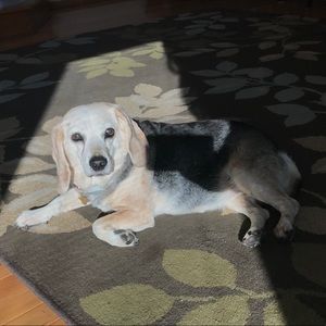 Meet your Posher, Anna